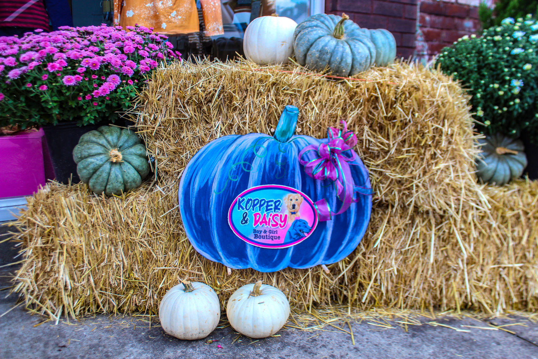 Princeton pumpkin challenge brings out artistic side
